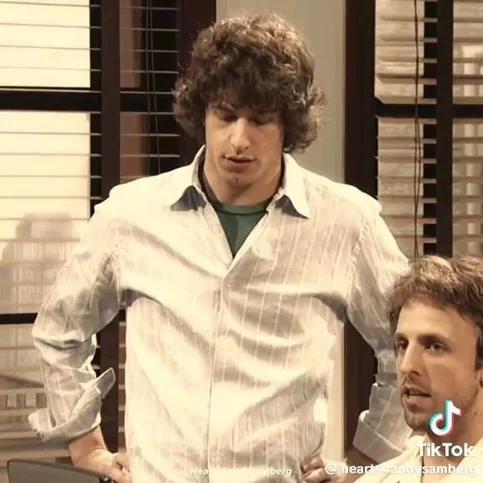 Andy Samberg - Biography, Age, Net Worth, Career & Family Cost of Becoming