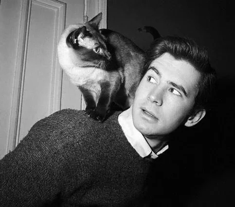 Anthony Perkins - Biography, Age, Net Worth, Career & Family Timeline