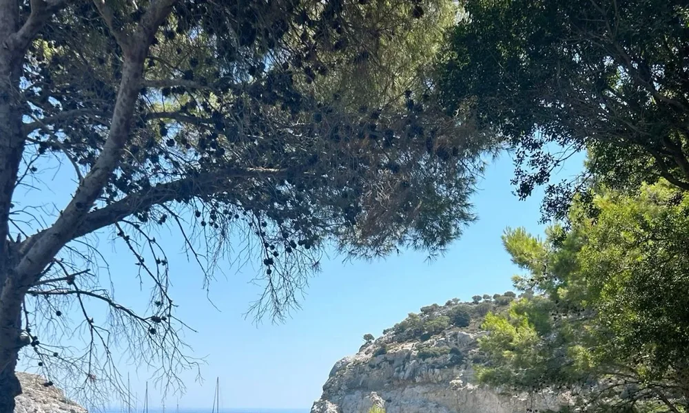 Anthony Quinn - Image 1