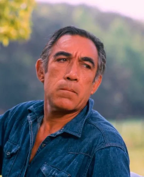 Anthony Quinn - Biography, Age, Net Worth, Career & Family Favourites
