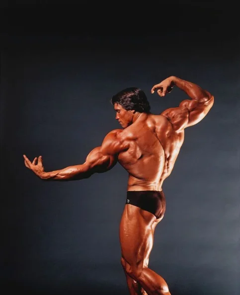 Arnold Schwarzenegger - Biography, Age, Net Worth, Career & Family Favourites