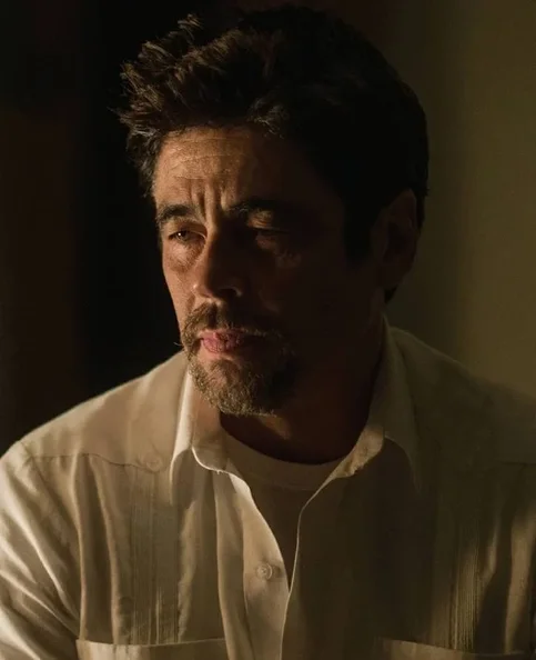 Benicio del Toro - Biography, Age, Net Worth, Career & Family Cost of Becoming