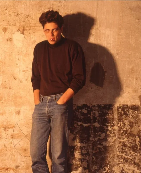 Benicio del Toro - Biography, Age, Net Worth, Career & Family Emotional Geography