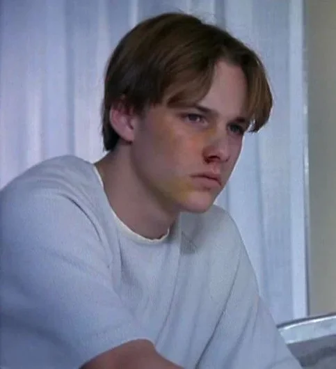 Brad Renfro - Biography, Age, Net Worth, Career & Family Favourites