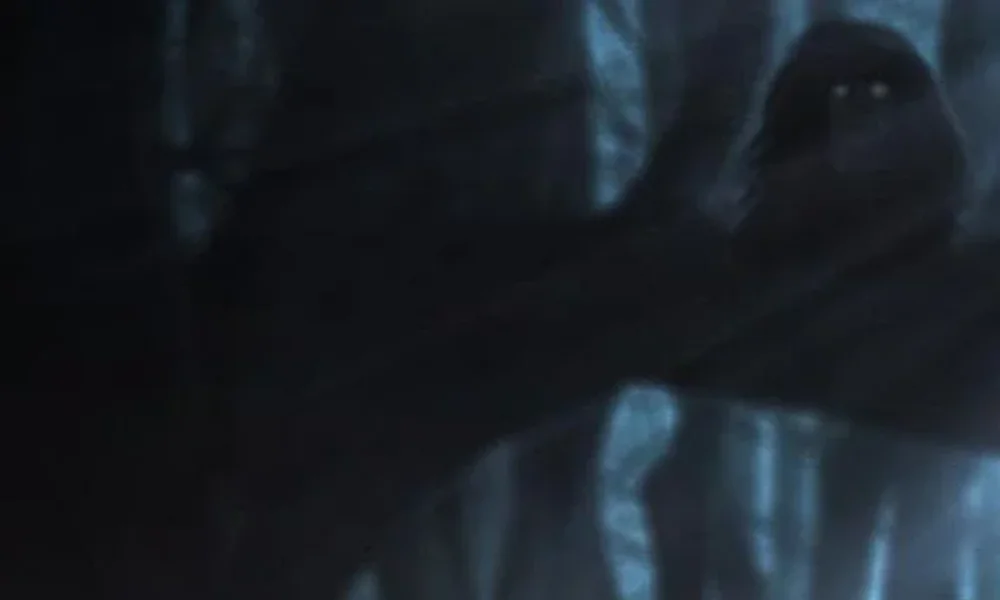 Bray Wyatt - Image 1