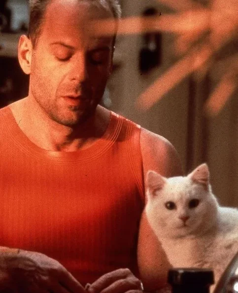 Bruce Willis - Biography, Age, Net Worth, Career & Family Emotional Geography