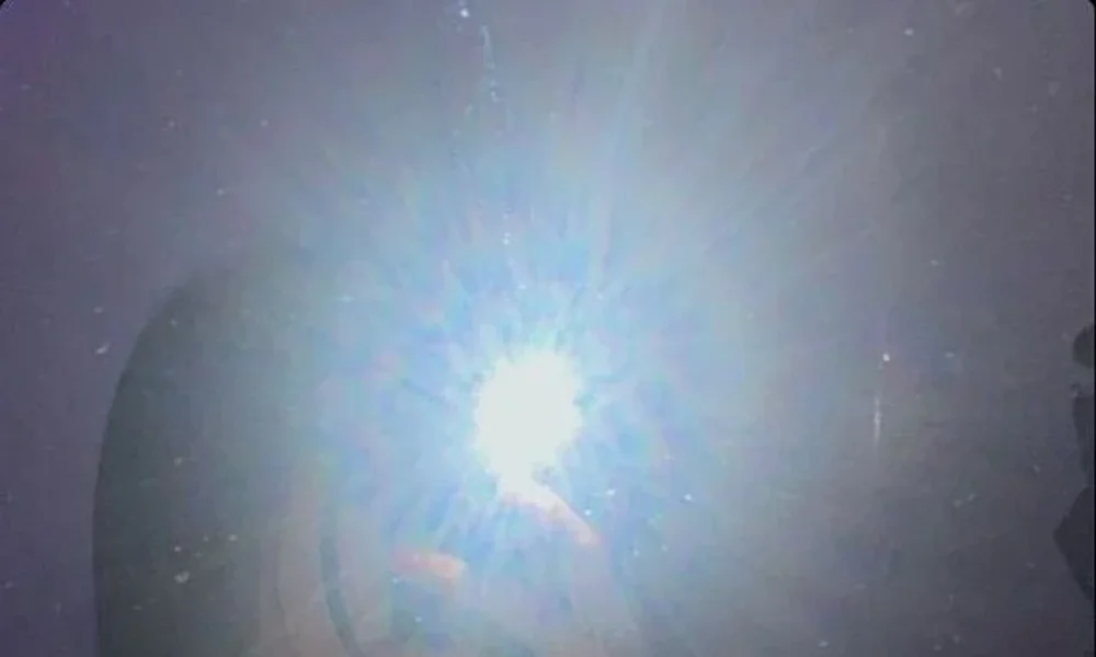 Calvin Klein - Image 1