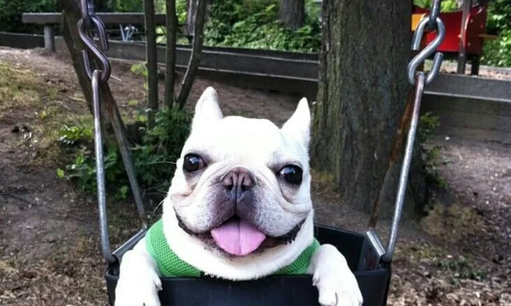 Charles Barkley - Image 1