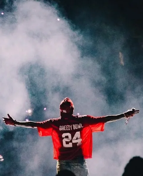 Chris Brown - Biography, Age, Net Worth, Career & Family Favourites