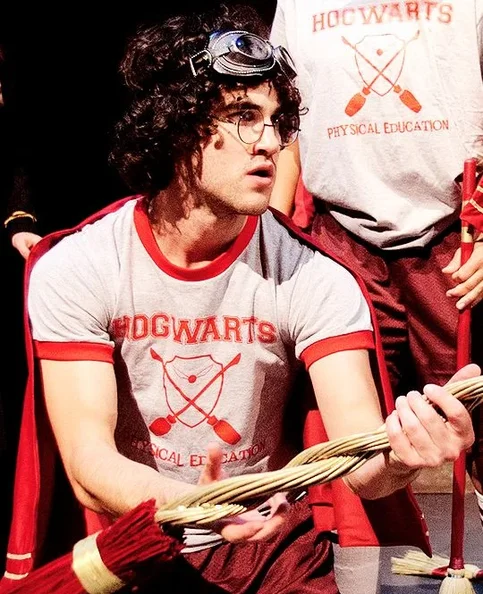 Darren Criss - Biography, Age, Net Worth, Career & Family Favourites