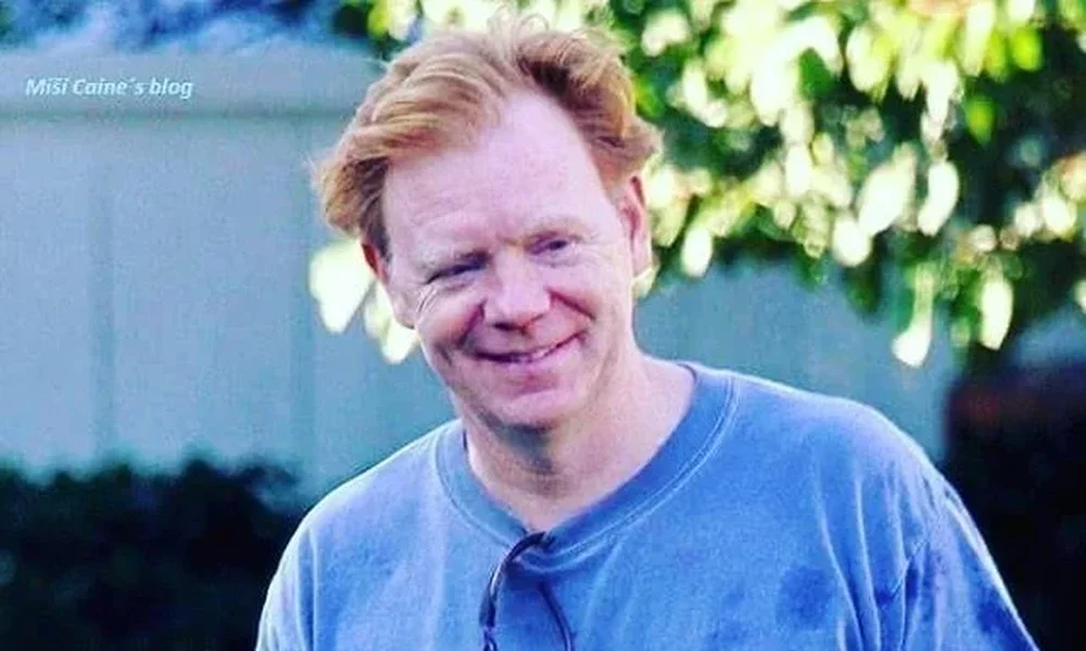 David Caruso - Image 1