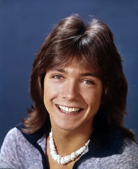 David Cassidy - Biography, Age, Net Worth, Career & Family Cost of Becoming