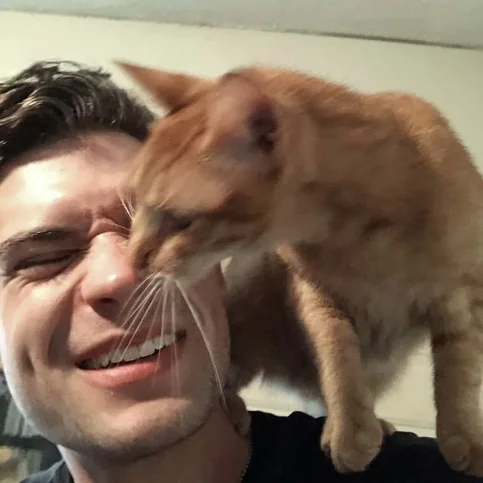 David Corenswet - Biography, Age, Net Worth, Career & Family Timeline