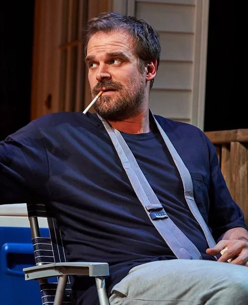 David Harbour - Biography, Age, Net Worth, Career & Family Favourites