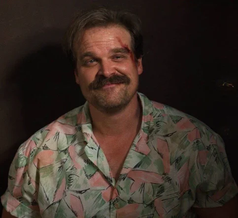 David Harbour - Biography, Age, Net Worth, Career & Family Emotional Geography