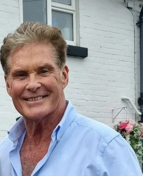 David Hasselhoff - Biography, Age, Net Worth, Career & Family Cost of Becoming