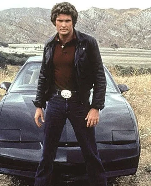 David Hasselhoff - Biography, Age, Net Worth, Career & Family Emotional Geography