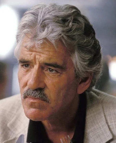 Dennis Farina - Biography, Age, Net Worth, Career & Family Favourites