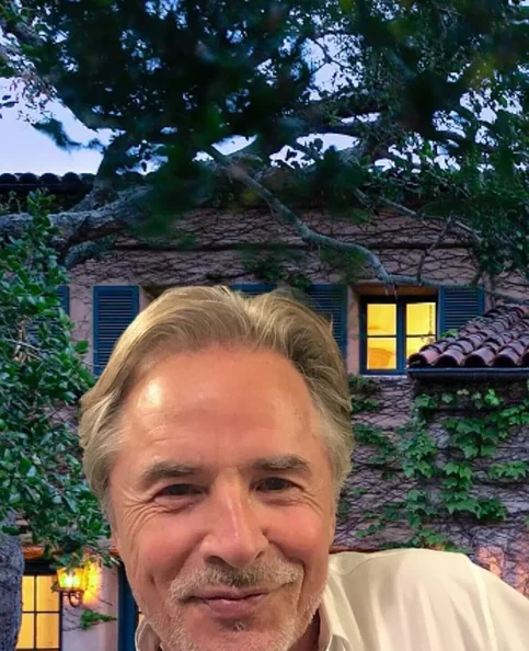 Don Johnson - Biography, Age, Net Worth, Career & Family Emotional Geography