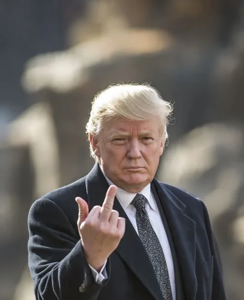 Donald Trump - Biography, Age, Net Worth, Career & Family Emotional Geography