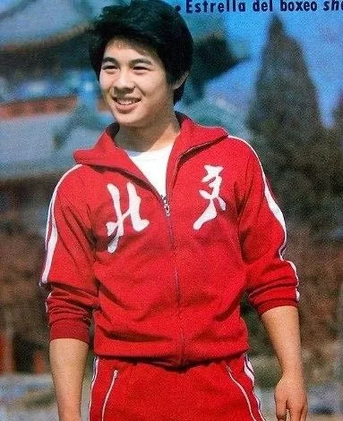 Donnie Yen - Biography, Age, Net Worth, Career & Family Favourites