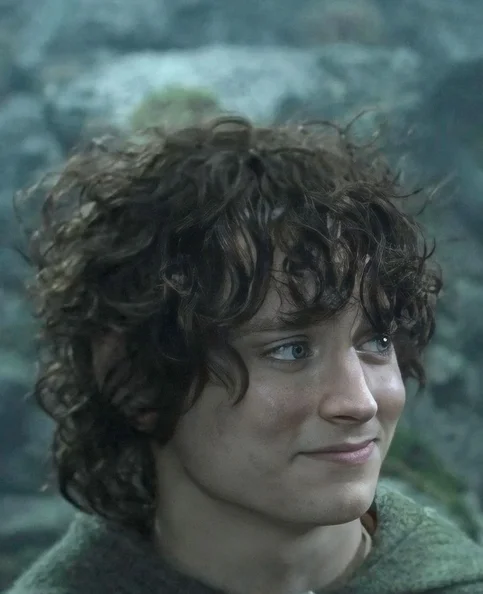 Elijah Wood - Biography, Age, Net Worth, Career & Family Favourites