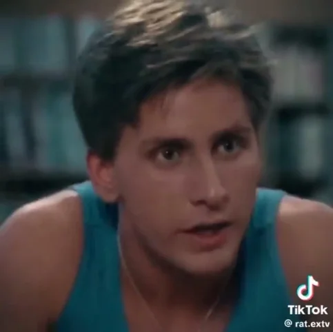 Emilio Estevez - Biography, Age, Net Worth, Career & Family Emotional Geography