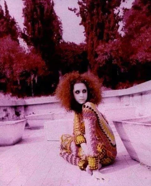 Frank Zappa - Biography, Age, Net Worth, Career & Family Cost of Becoming