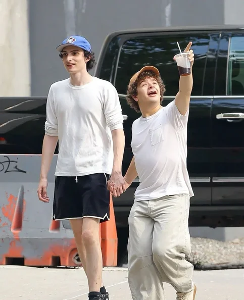 Gaten Matarazzo - Biography, Age, Net Worth, Career & Family Timeline