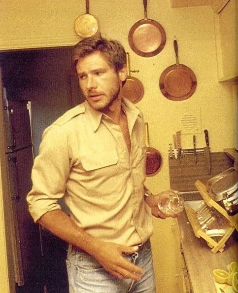 Harrison Ford - Biography, Age, Net Worth, Career & Family Favourites