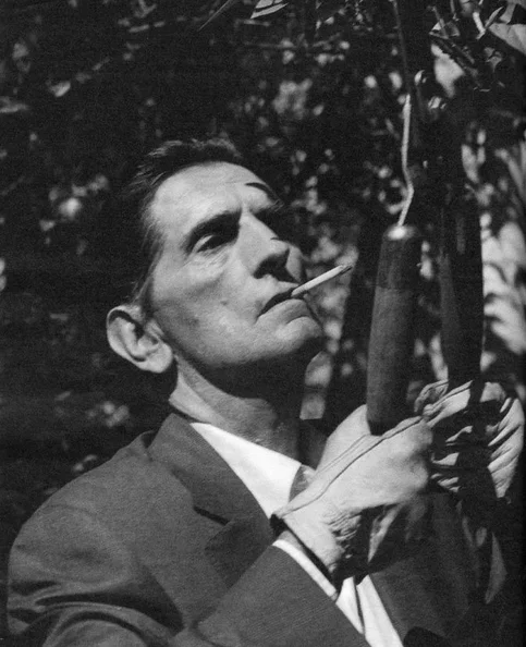 Harry Dean Stanton - Biography, Age, Net Worth, Career & Family Timeline