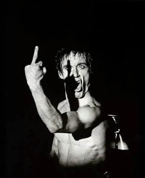 Iggy Pop - Biography, Age, Net Worth, Career & Family Timeline