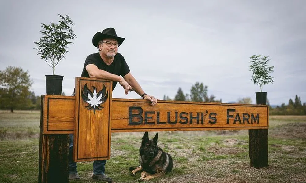 Jim Belushi - Image 1