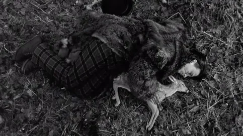 Jim Jarmusch - Biography, Age, Net Worth, Career & Family Cost of Becoming