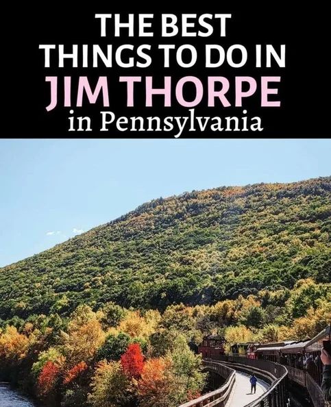 Jim Thorpe - Biography, Age, Net Worth, Career & Family Favourites