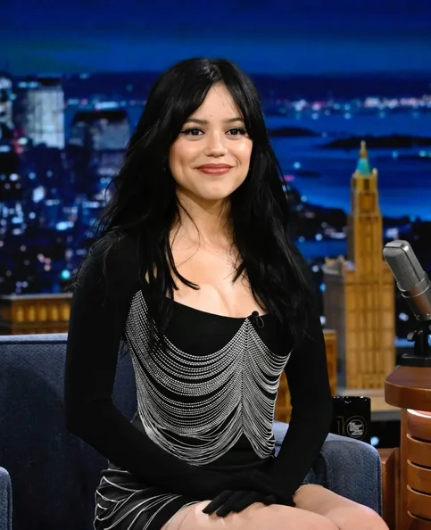 Jimmy Fallon - Biography, Age, Net Worth, Career & Family Cost of Becoming