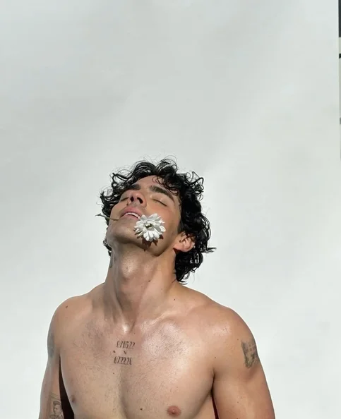 Joe Jonas - Biography, Age, Net Worth, Career & Family Favourites