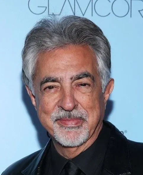 Joe Mantegna - Biography, Age, Net Worth, Career & Family Cost of Becoming