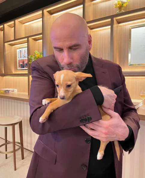 John Travolta - Biography, Age, Net Worth, Career & Family Emotional Geography