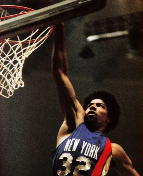 Julius Erving - Biography, Age, Net Worth, Career & Family Emotional Geography