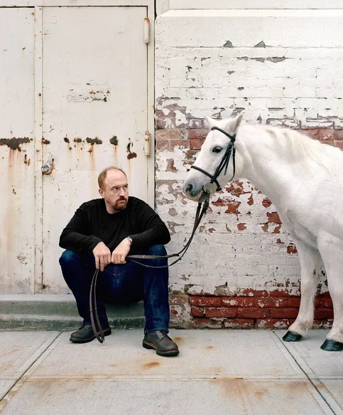 Louis C.K. - Biography, Age, Net Worth, Career & Family Timeline