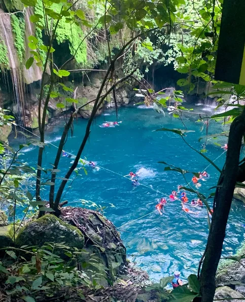 Luis Gómez - Biography, Age, Net Worth, Career & Family Favourites