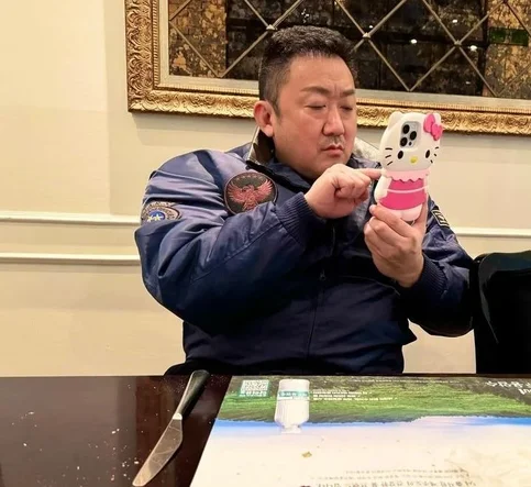 Ma Dong-seok - Biography, Age, Net Worth, Career & Family Emotional Geography