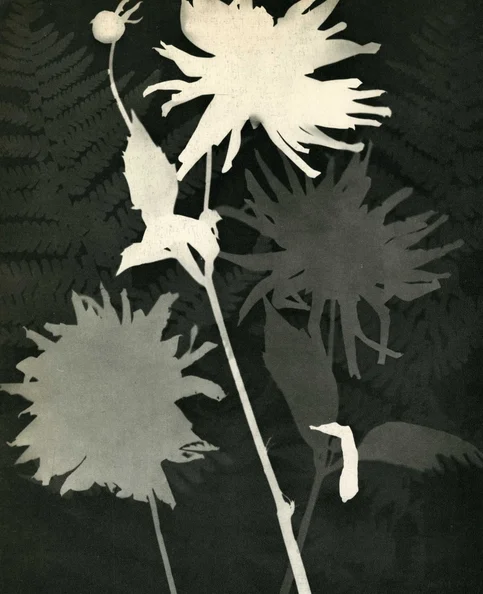 Man Ray - Biography, Age, Net Worth, Career & Family Timeline