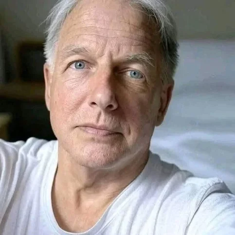 Mark Harmon - Biography, Age, Net Worth, Career & Family Favourites