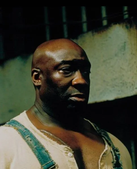 Michael Clarke Duncan - Biography, Age, Net Worth, Career & Family Favourites