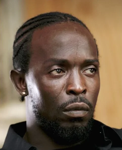 Michael K. Williams - Biography, Age, Net Worth, Career & Family Timeline
