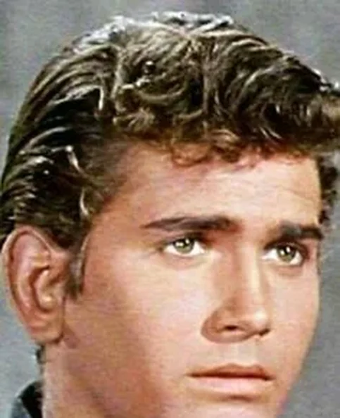 Michael Landon - Biography, Age, Net Worth, Career & Family Favourites