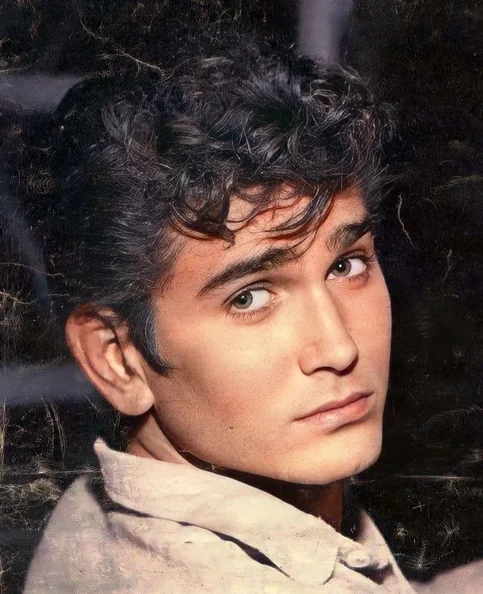 Michael Landon - Biography, Age, Net Worth, Career & Family Emotional Geography