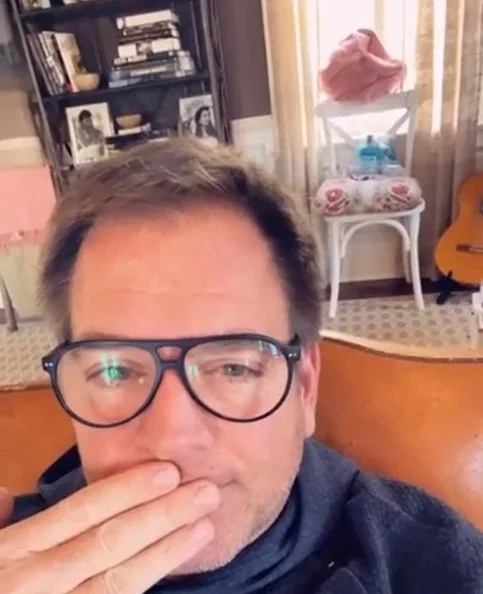 Michael Weatherly - Biography, Age, Net Worth, Career & Family Cost of Becoming